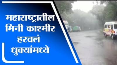 VIDEO | महाराष्ट्राचे मिनी काश्मीर धुक्यामध्ये हरवले, पर्यटकांचा मात्र हिरमोड
