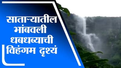VIDEO | भारतातील सर्वात उंच धबधबा फेसाळला, विहंगम दृष्य कॅमेऱ्यात कैद