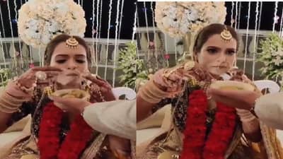 Video | नवरदेव लग्न विधीमध्ये गुंतला, नवरीचा पाणीपुरीवर ताव, हटके व्हिडीओ एकदा पाहाच