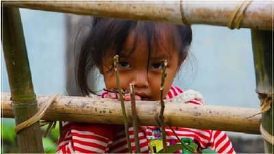 प्रत्येक महिन्याला 2500 रुपये, मोफत शिक्षणासोबत निशुल्क उपचार, अनाथ मुलांना सरकार चा ‘आशीर्वाद’