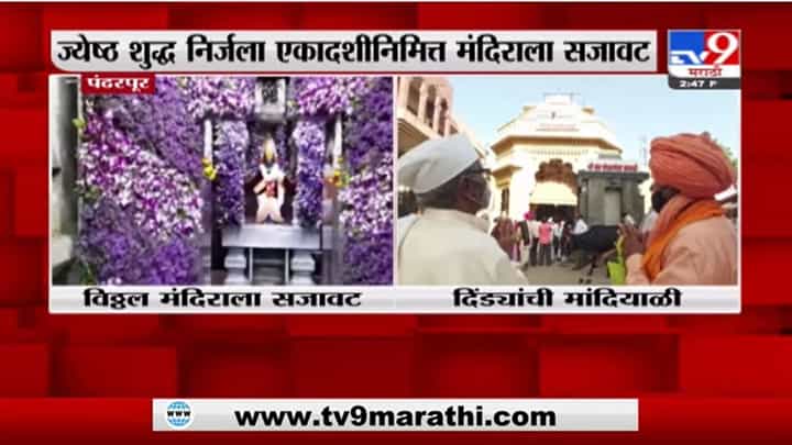 Pandharpur | निर्जला एकादशीनिमित्त विठ्ठल मंदिराला आकर्षक सजावट. पंढरपुरात दिंड्यांची मांदियाळी Pandharpur | निर्जला एकादशीनिमित्त विठ्ठल मंदिराला आकर्षक सजावट. पंढरपुरात दिंड्यांची मांदियाळी