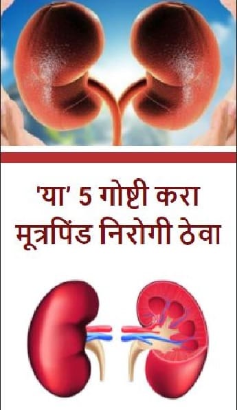 ‘या’ 5 गोष्टी करा मूत्रपिंड निरोगी ठेवा