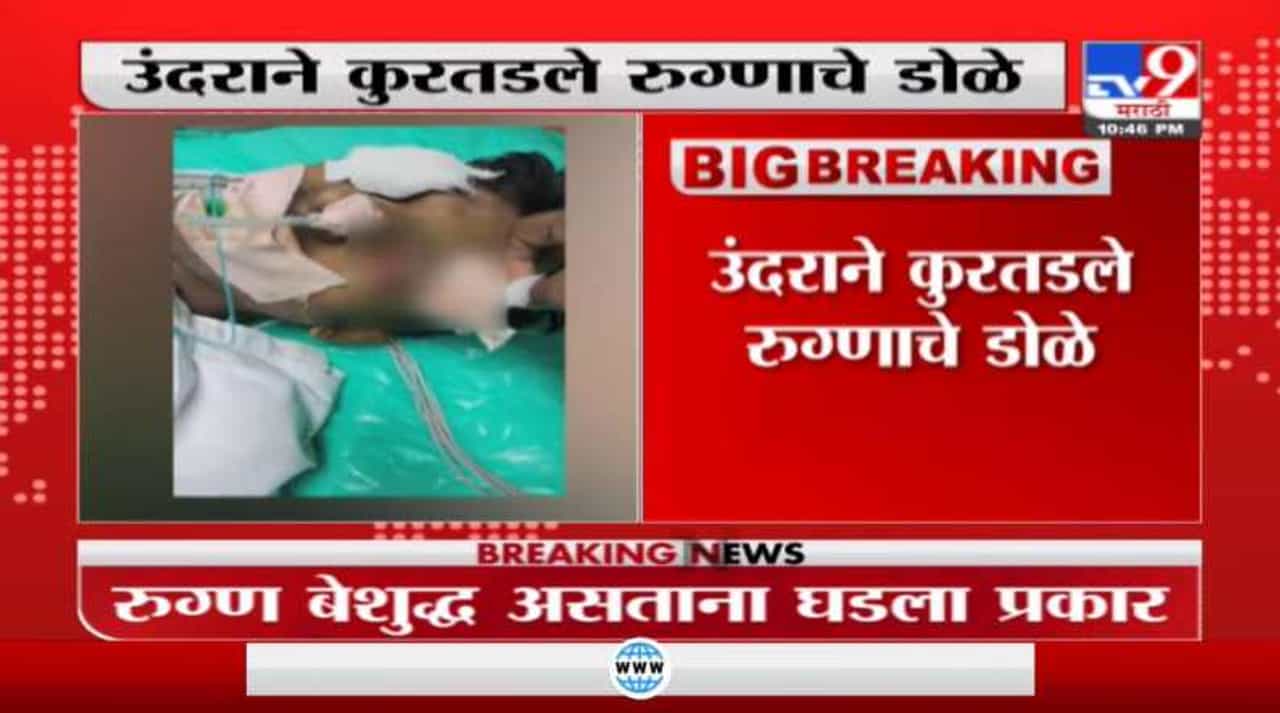 उंदराने बेशुद्ध रुग्णाचे डोळे कुरतडले, मुंबईच्या राजावाडी हॉस्पिटलमधील धक्कादायक घटना