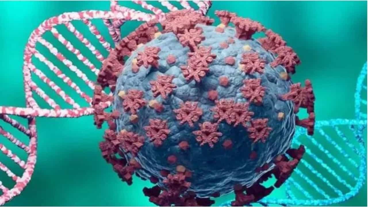 Maharashtra Coronavirus LIVE Update : राज्यात 24 तासात 10 हजार 66 नवे कोरोनाबाधित, 163 रुग्णांचा मृत्यू