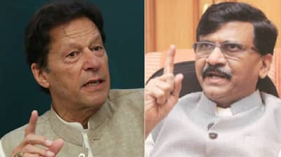 पाकिस्तानची मँगो डिप्लोमसी अयशस्वी, इम्रान खान यांचं तोंड आंबटच राहिलं, काश्मिर प्रश्नावरुन सामनातून टीका