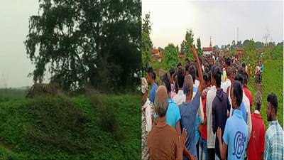 चंद्रपुरात 3 वाघ आणि गावकऱ्यांमध्ये झडप, व्याघ्र संरक्षण दलाच्या जवानासह एक गावकरी जखमी