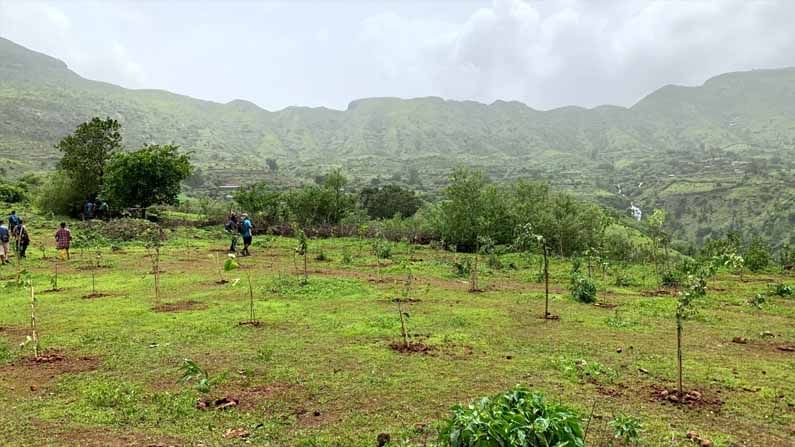 त्यामुळे समाजातील दानशूर व्यक्तींनी, पर्यावरणप्रेमींनी त्यांना जमेल तशी मदत करावी, असे आवाहन 'बाण'तर्फे करण्यात आले आहे.