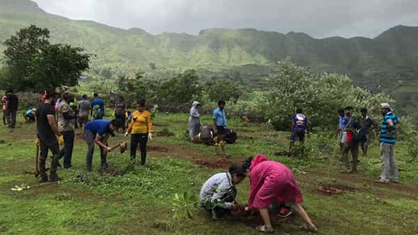 गेल्या चार वर्षांपासून भिवपुरी येथील जंगलामध्ये 'बाण हायकर्स' (Baan Hikers) तर्फे वृक्षारोपण केले जाते. यावर्षी या मोहिमेअंतर्गंत 200 झाडांचे रोपण ‘बाण’च्या सदस्यांनी गावकऱ्यांच्या मदतीने केले.