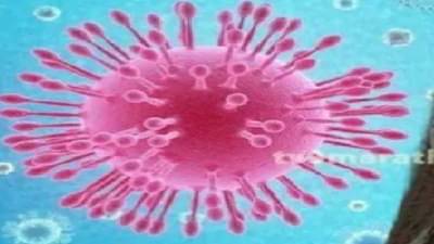 पालघर जिल्ह्यात दोन महिन्यांपूर्वीच डेल्टा प्लस कोरोना विषाणूचा शिरकाव, सिंधुदुर्गमध्ये आढळला पहिला रुग्ण