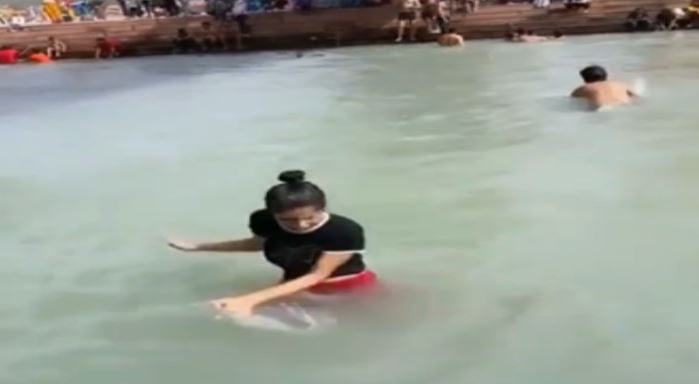 Video | नदीत पोहण्यासाठी पाण्यात उतरली अन् मध्येच मोठ्याने ओरडली, नेमके कारण काय ?