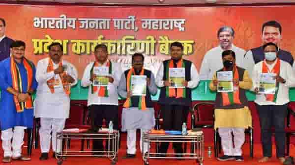 मराठा समाजाला 3 हजार कोटींचे, तर बारा बलुतेदारांना 7 हजार कोटींचे पॅकेज द्या, भाजपची मागणी