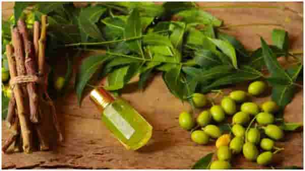 Neem Benefits : केवळ चरबीच कमी करीत नाही तर शरीराला आतून साफ करतो कडुनिंबाचा रस
