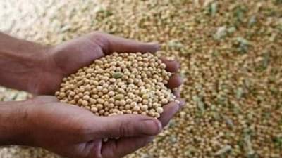 सोयाबीनला अच्छे दिन, इतिहासातला उच्चांकी दर, शेतकऱ्यांना सुगीचे दिवस!