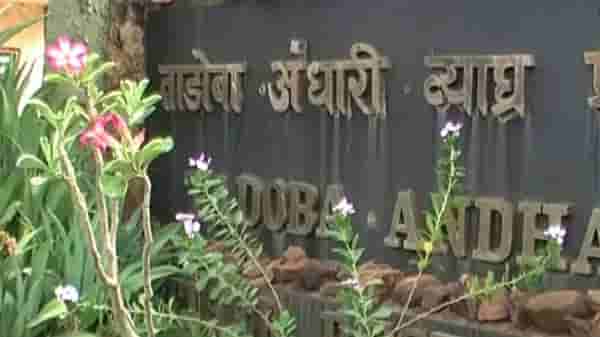 जगप्रसिद्ध ताडोबा व्याघ्र प्रकल्पात आता गाईड्ससाठी ग्रेडेशन सिस्टिम, प्रत्येक ट्रीपनंतर निश्चित मानधन मिळणार