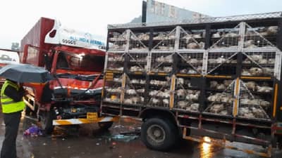 पुणे-मुंबई एक्स्प्रेस वेवर टेम्पोवर ट्रक धडकला, 100 कोंबड्या दगावल्याचा दावा