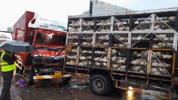 पुणे-मुंबई एक्स्प्रेस वेवर टेम्पोवर ट्रक धडकला, 100 कोंबड्या दगावल्याचा दावा