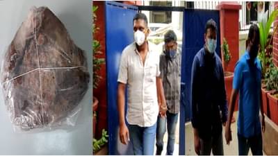 व्हेल माशाच्या उलटीचा म्हणजेच कोट्यवधींच्या वोमिट गोल्डचा काळाबाजार करणारे दोन जण ताब्यात, पोलिसांची मोठी कारवाई