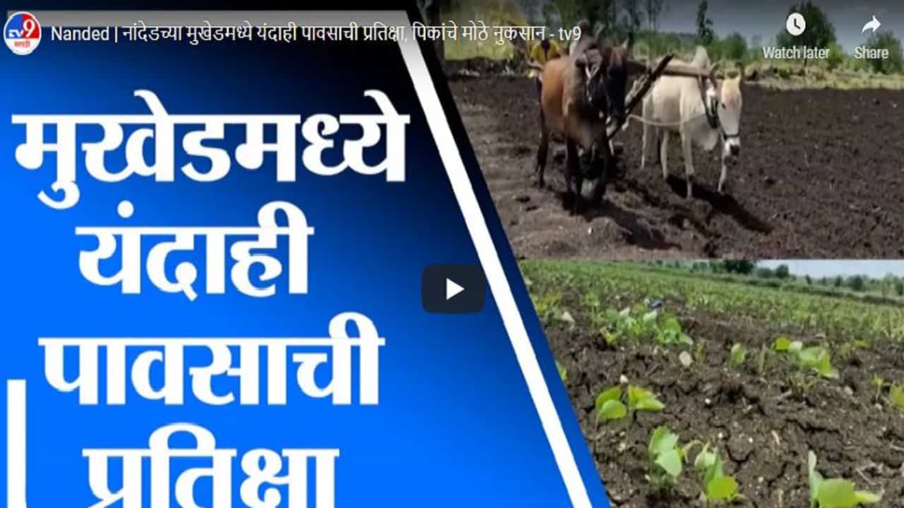 Nanded | नांदेडच्या मुखेडमध्ये यंदाही पावसाची प्रतिक्षा, पिकांचे मोठे नुकसान