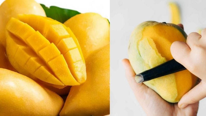 Mango Peel Benefits | आंब्याची सालं कचरा समजून फेकून देताय? थांबा, आधी जाणून घ्या याचे आरोग्यदायी फायदे!