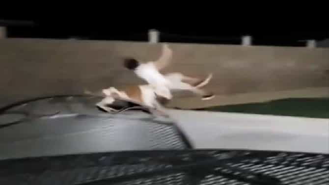 Video | मोठ्या थाटात फुटबॉलला लाथ मारायला निघाला, मध्येच कुत्र्याने दिली जोरदार धडक