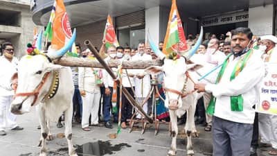 VIDEO | शेतकऱ्यांना खरीप हंगामासाठी पीक कर्ज उपलब्ध करुन द्या; सदाभाऊ खोत बैल आणि नांगर घेऊन बँकेसमोर