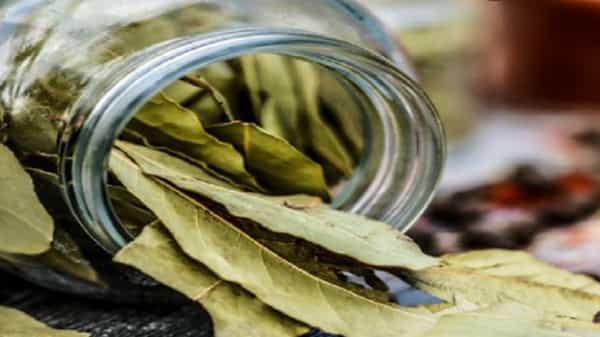 तमालपत्र आपल्या आरोग्यासाठी अत्यंत फायदेशीर आहे. तमालपत्रामध्ये अँटी-ऑक्सिडंट्स मुबलक प्रमाणात आढळतात. मधुमेहाच्या रूग्णांने जर आपल्या दररोजच्या आहारात तमालपत्राचा समावेश केला तर रक्तातील साखरेची पातळी नियंत्रणात राहू शकते.