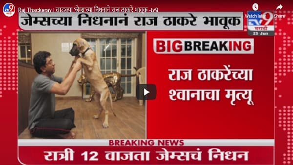 Raj Thackeray | लाडक्या ‘जेम्स’च्या निधनाने राज ठाकरे भावूक
