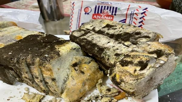अकोला शहरातील एका नामांकित बेकरीने चक्क बुरशीजन्य ब्रेड विकल्याची धक्कादायक माहिती समोर आली आहे. याप्रकरणी तक्रार दाखल करण्यात आली आहे.
