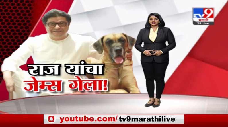 Special Report | राज यांचा जेम्स गेला! कुत्र्याला निरोपावेळी राज ठाकरे भावूक