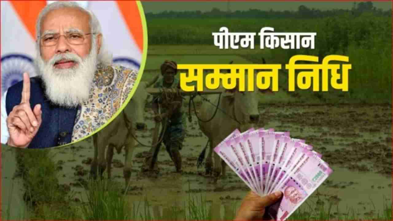 PM किसान योजनेत अनियमितता, महाराष्ट्रातील 4 लाख 45 हजार शेतकऱ्यांना द्यावा लागणार परतावा