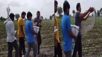 अस्थी विसर्जनाच्या पारंपरिक प्रथेला फाटा, आईची रक्षा शेतजमिनीत पसरवली, समाजापुढे नवा आदर्श