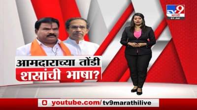 Special Report | बुलडाण्याच्या चितोडमध्ये 2 कुटुंबात वाद, आमदाराच्या तोंडी शस्त्रांची भाषा?