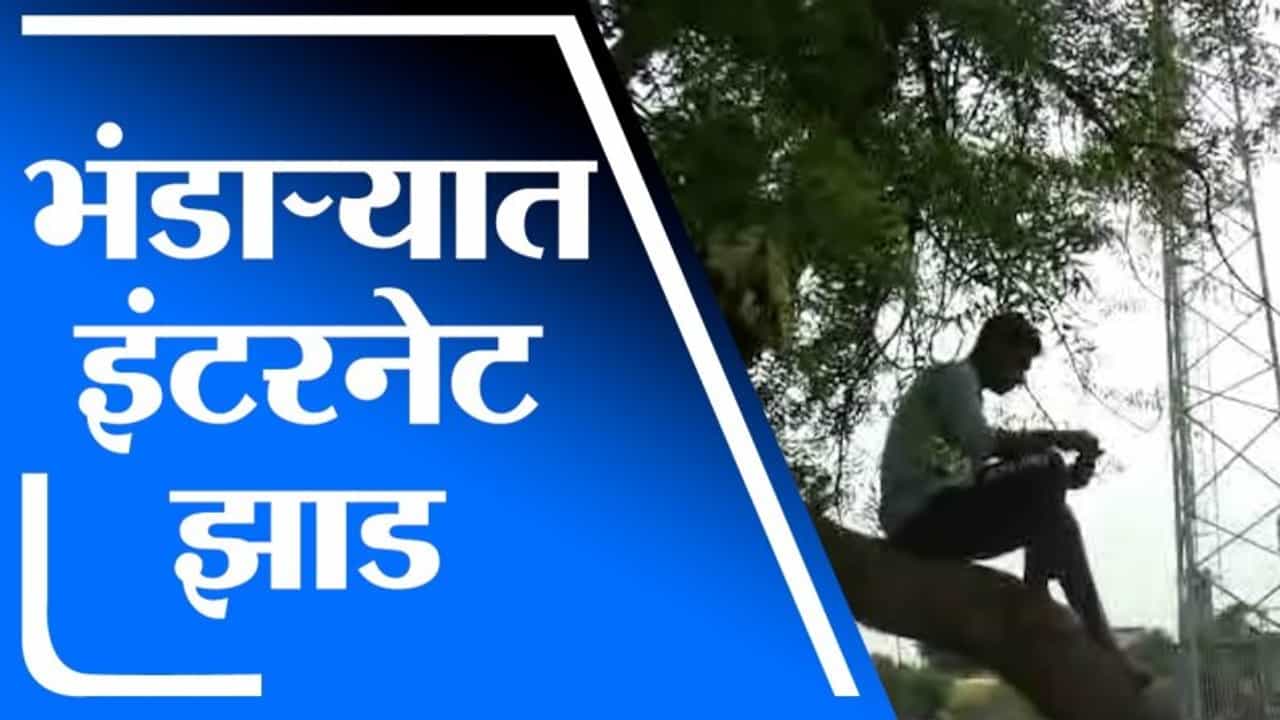 Bhandara | मोबाईल टॉवर 200 मिटर लांब असतानाही कडुलिंबाच्या झाडालाच रेंज, युवकांची गर्दी