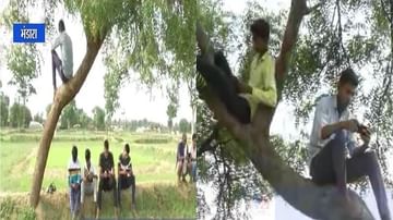VIDEO | भंडाऱ्यात नेटवर्क झाड, रेंजसाठी तरुणांची झाडाजवळ सतत मांदियाळी