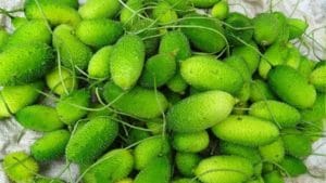 'ही' भाजी शरीराला अनेक आजारांपासून दूर ठेवते, फायदे वाचून अवाक व्हाल