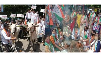 इंधन दरवाढीविरोधात राष्ट्रवादीचं बैलगाडी आंदोलन, महिलांनी चुली पेटवल्या, तरुणांची सायकल रॅली