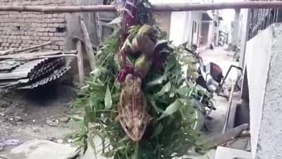 रुसलेल्या वरुणराजाला प्रसन्न करण्यासाठी धोंडी धोंडी पाणी दे... म्हणत शेतकऱ्यांचं साकडं....!