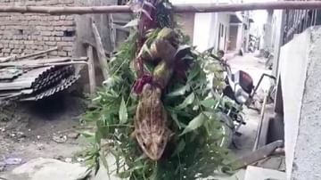 रुसलेल्या वरुणराजाला प्रसन्न करण्यासाठी 'धोंडी धोंडी पाणी दे...' म्हणत शेतकऱ्यांचं साकडं....!