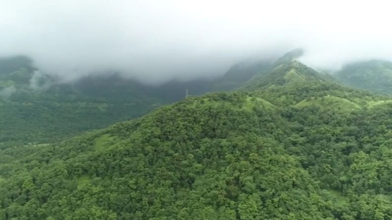 सह्याद्रीच्या कुशीत वसलेल्या कुंभवडे गावाचं निसर्ग सौंदर्य खुललं आहे.