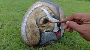 PHOTO | दगडांचा आकार न बदलता रंगांची उधळण, अनोख्या शिल्पाकृती साकारणारा 'अवलिया'