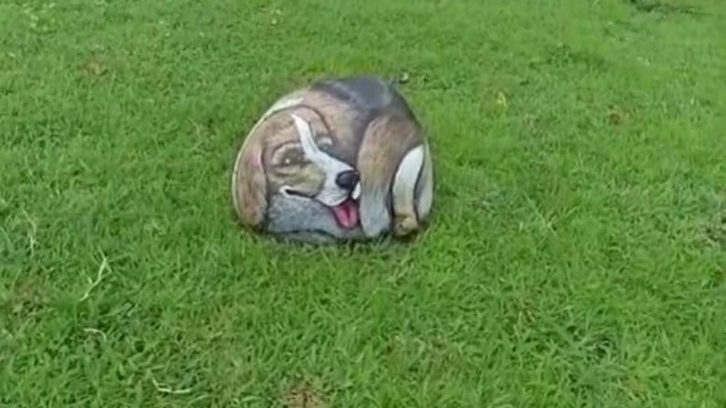 तर दगडावर साकारलेलं कुत्र्याचे चिञ अंगणात किंवा गार्डनमध्ये ठेवल्यासारखे भासत आहे. हे चित्र पाहताना खरोखरच कुत्रा बसला असल्याचा भास होतो. 