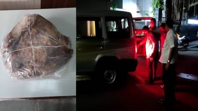 मुंबईत हायप्रोफाईल वस्तीत Ambergris ची खरेदी-विक्री, पोलिसांकडून सापळा रचत टोळीचा पर्दाफाश