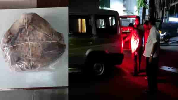 मुंबईत हायप्रोफाईल वस्तीत Ambergris ची खरेदी-विक्री, पोलिसांकडून सापळा रचत टोळीचा पर्दाफाश