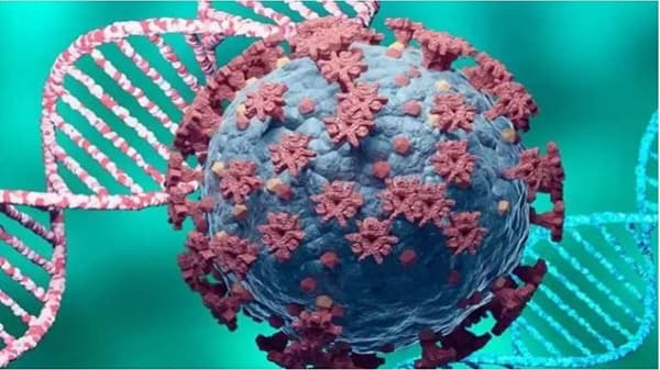 Maharashtra Coronavirus LIVE Update : राज्यात कोरोनाचे 8 हजार 172 नवे कोरोनाबाधित रुग्ण, 124 जणांचा मृत्यू