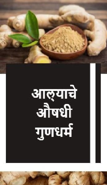 आल्याचे औषधी गुणधर्म