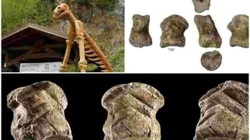 जर्मनीमध्ये सापडला जगातील सर्वात जुना दागिना; 51 हजार वर्षांपूर्वी निएंडरथल करायचे वापर