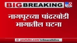 Nagpur Breaking | कुख्यात गुंड अक्षय जयपुरेची विटांनी ठेचून हत्या