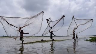 महाराष्ट्रात ठिकठिकाणी पावसाचं कमबॅक, पाऊस आला पण पिकं वाचणार का?