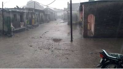 महाराष्ट्रात ठिकठिकाणी पावसाचं कमबॅक, पाऊस आला पण पिकं वाचणार का?