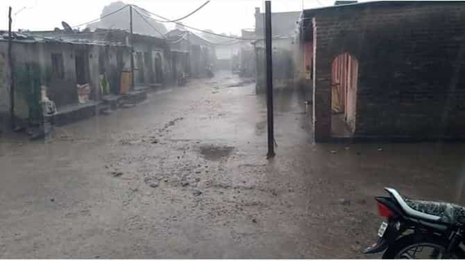 महाराष्ट्रात ठिकठिकाणी पावसाचं कमबॅक, पाऊस आला पण पिकं वाचणार का?